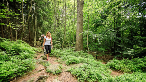 Navigace podle hvězd nebo kolegů – obojí někdy máte Skupina orientující se v terénu během outdoorové hry Ztraceni